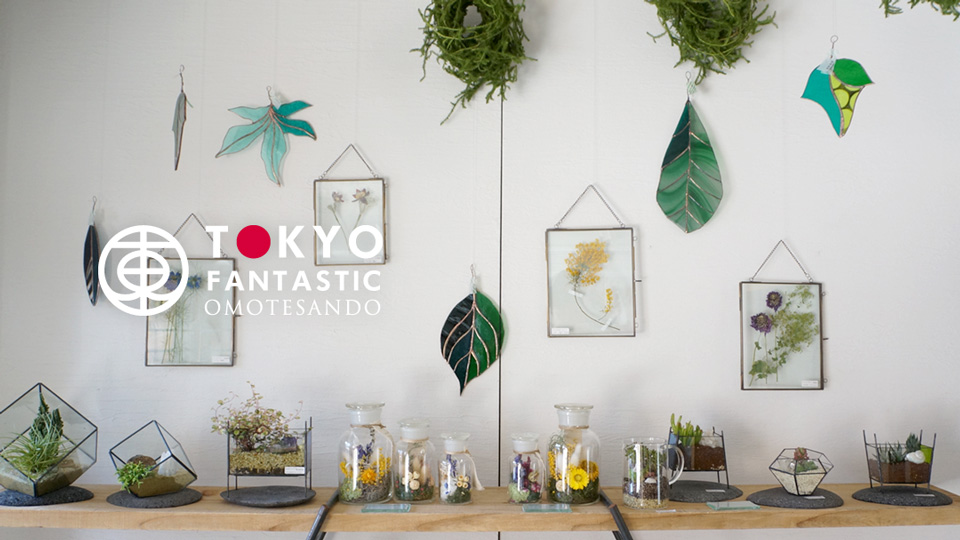 春を楽しむ企画展「ボタニカルコレクション」開催中！