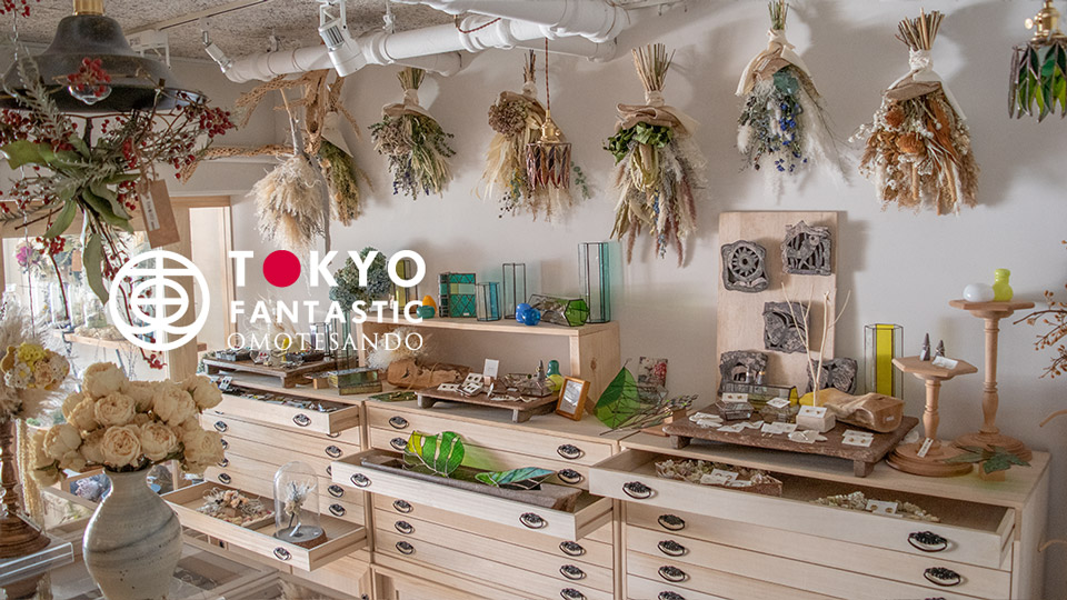 ボタニカル展、開催中！