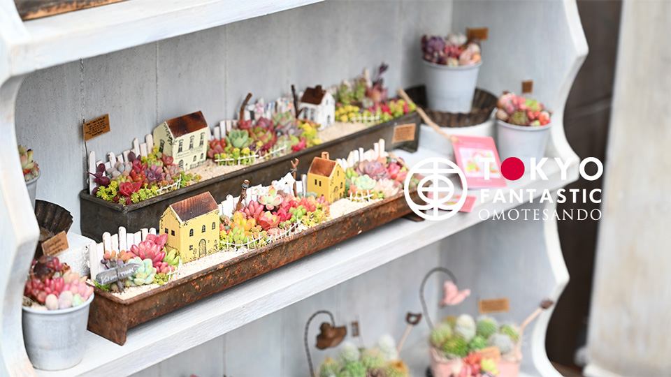 kurumi garden の物語（くるみガーデン 個展）2020. 1/26-2/11