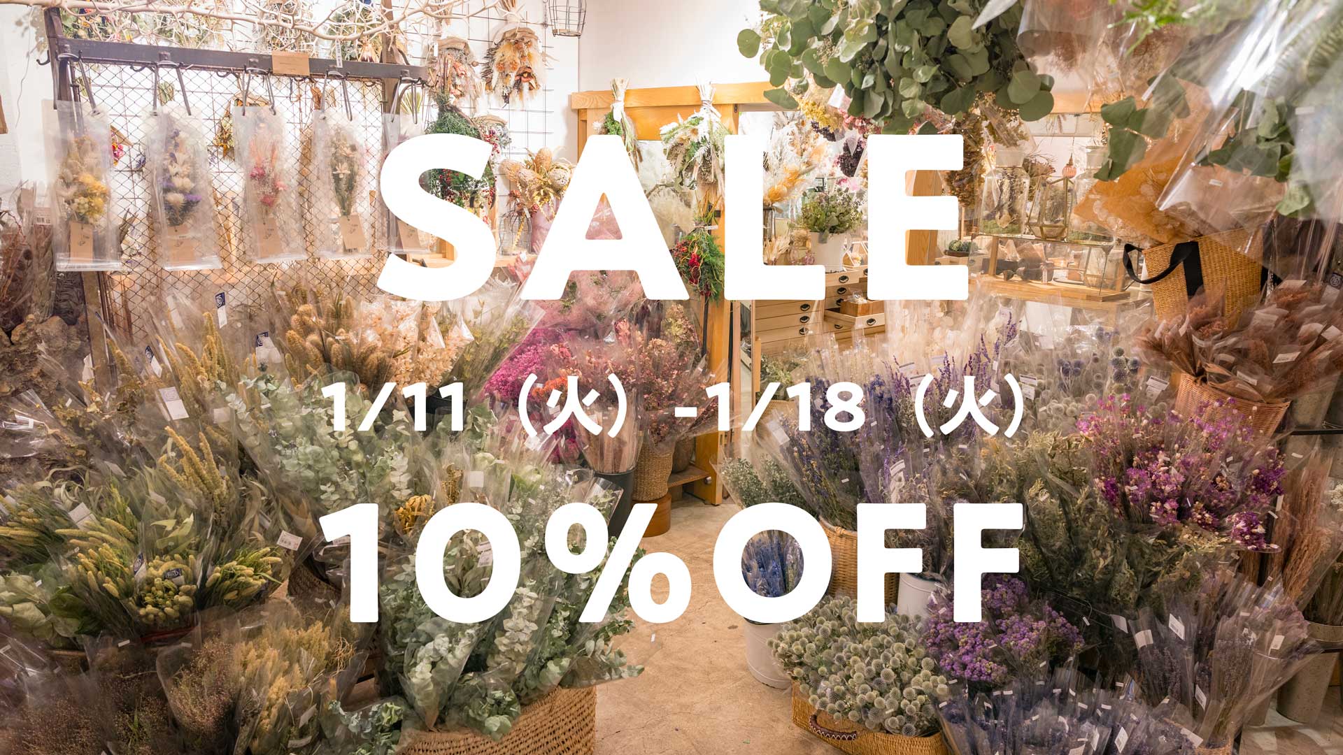 表参道店、ドライフラワーSALE開催！1/18まで。