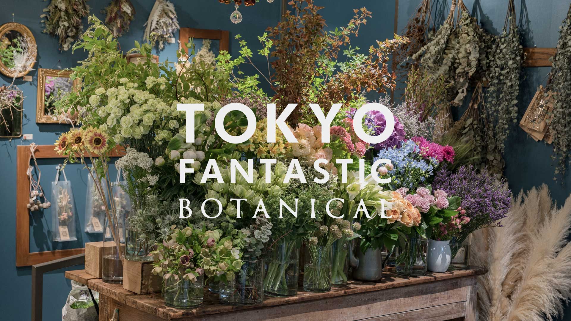 ボタニカル店、生花入荷しました！（2022.5）