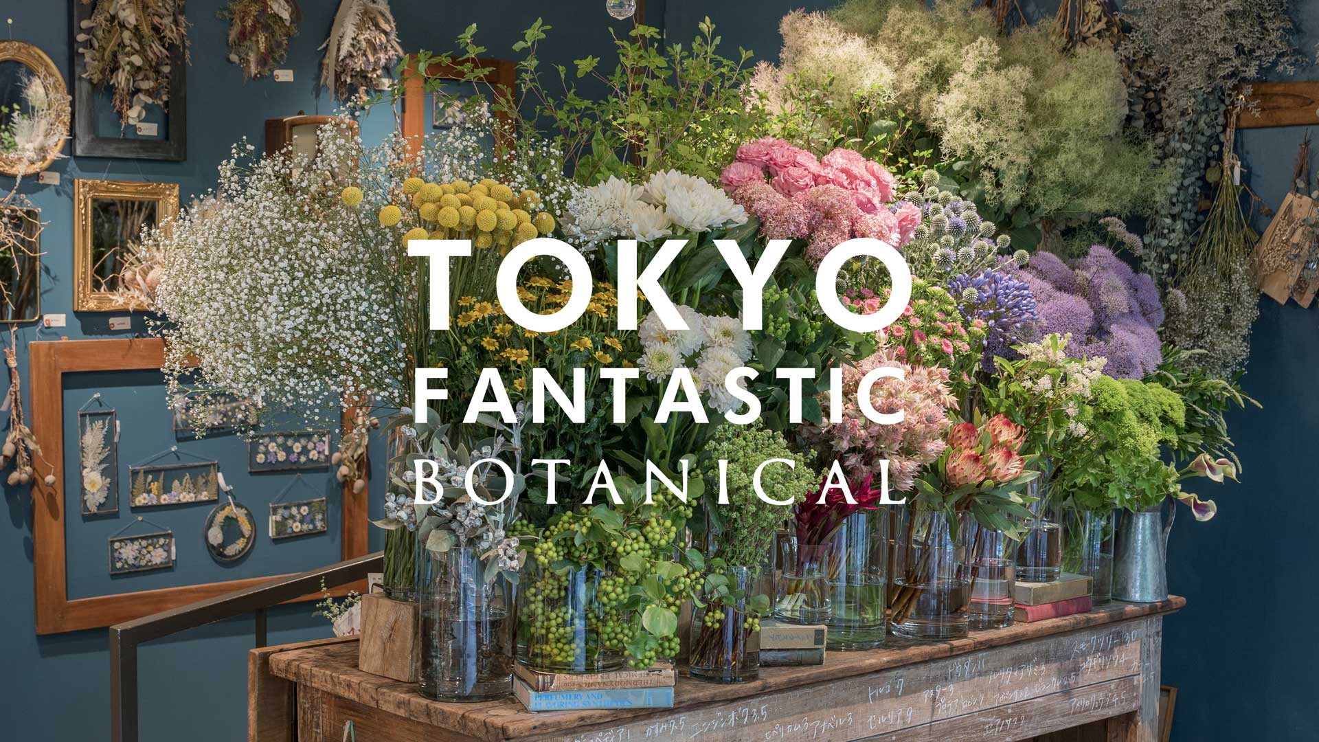 ボタニカル店、生花入荷しました！（2022.7）