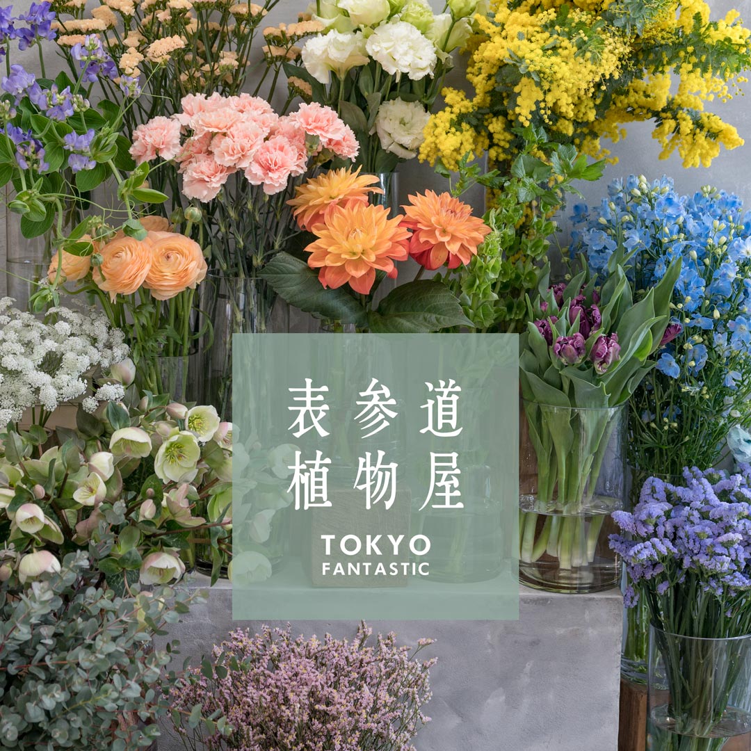 小さな週末花屋 | 表参道植物屋 at TOKYO FANTASTIC 201（にーまるいち）