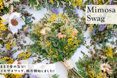 まるで春の気分！ミモザスワッグ、販売開始しました！